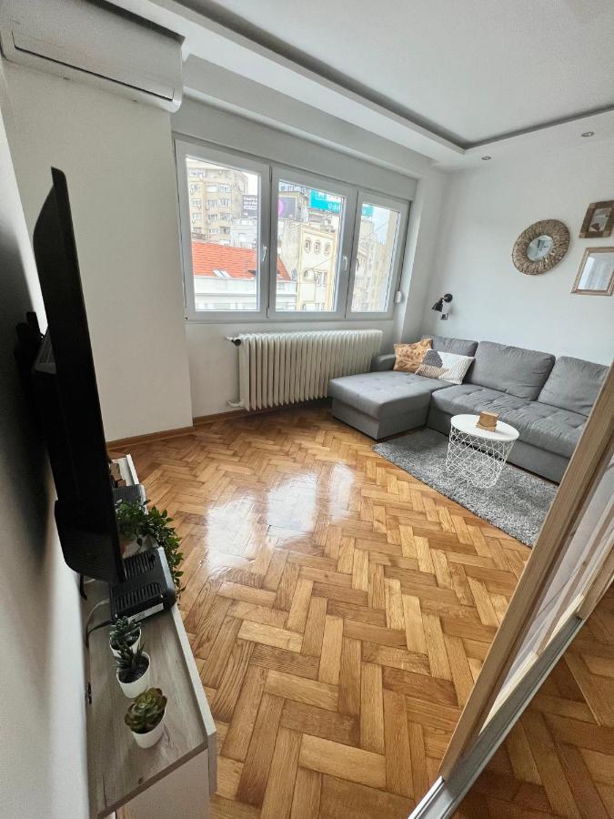 Comfortable Apartment In City Hub Beograd Eksteriør bilde